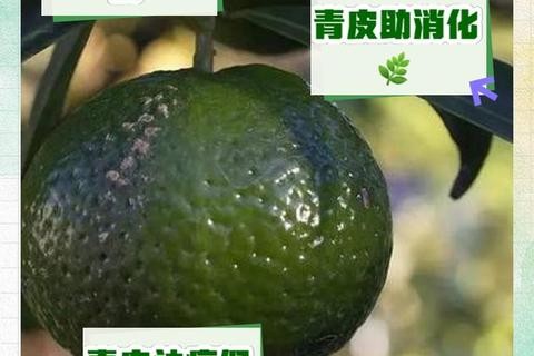 西皮是什么意思_网络用语西皮的含义解析与来源探讨