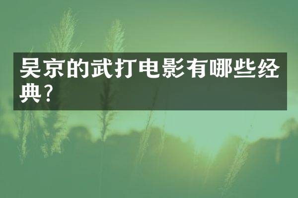 吴京的武打电影有哪些经典？