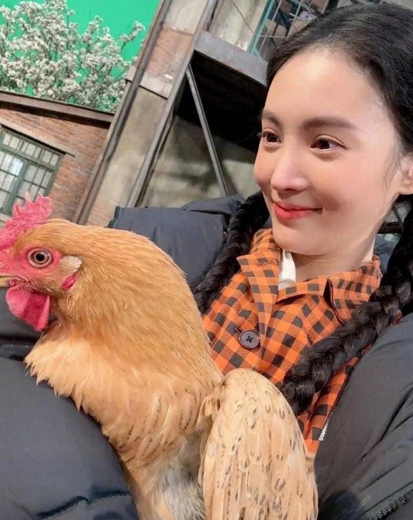 金晨与她的宠物们：爱与陪伴的故事