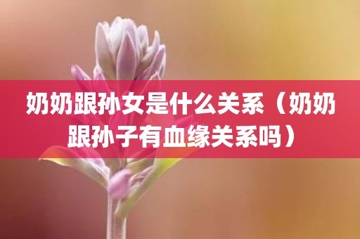奶奶跟孙女是什么关系（奶奶跟孙子有血缘关系吗）