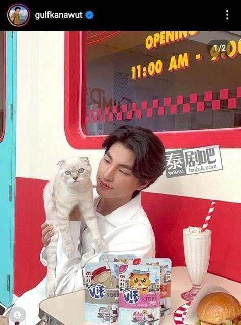 爱猫的泰国男星盘点：JJ、糕糕、Apo、nunew、暖暖等原来都是猫奴