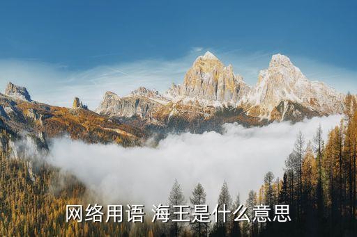 网络用语 海王是什么意思