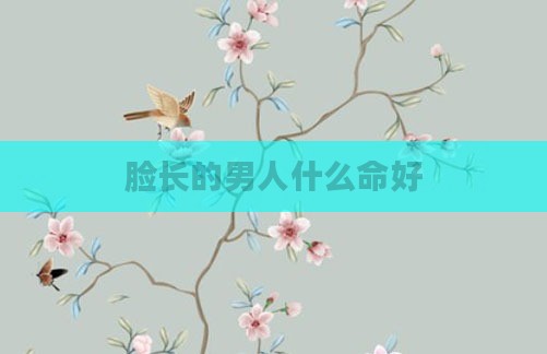 脸长的男人什么命好