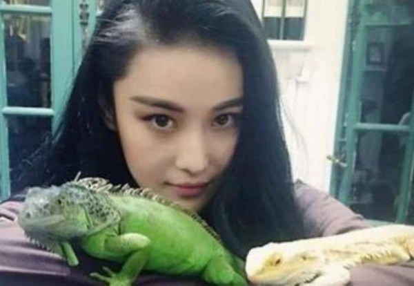 明星们也爱养萌宠，胡歌喜欢养猫，但是宋茜的宠物就比较独特了