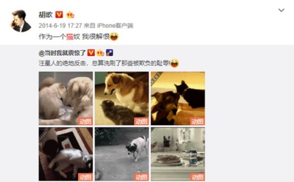 明星们也爱养萌宠，胡歌喜欢养猫，但是宋茜的宠物就比较独特了