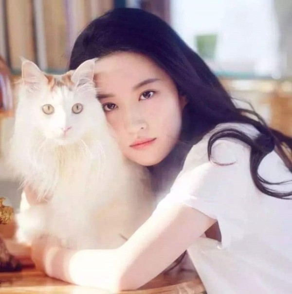 明星们也爱养萌宠，胡歌喜欢养猫，但是宋茜的宠物就比较独特了