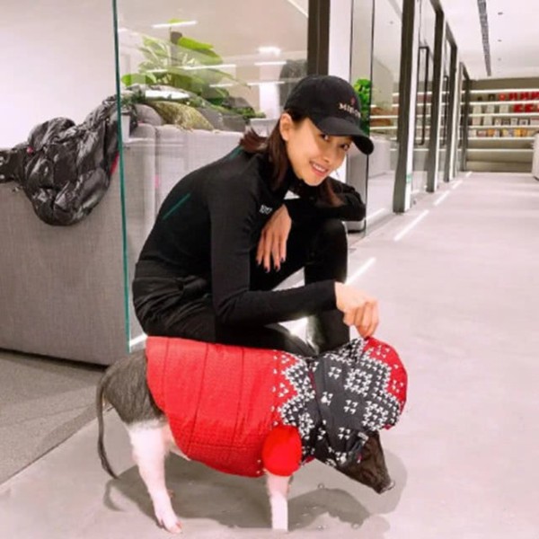 明星们也爱养萌宠，胡歌喜欢养猫，但是宋茜的宠物就比较独特了