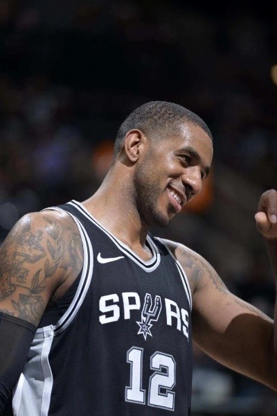 NBA球星阿尔德里奇职业生涯回顾与未来展望