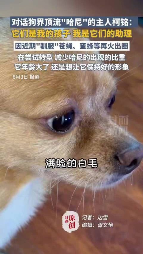 狗影帝哈尼片酬是游山玩水
