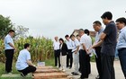 重磅！江苏一地发现金矿