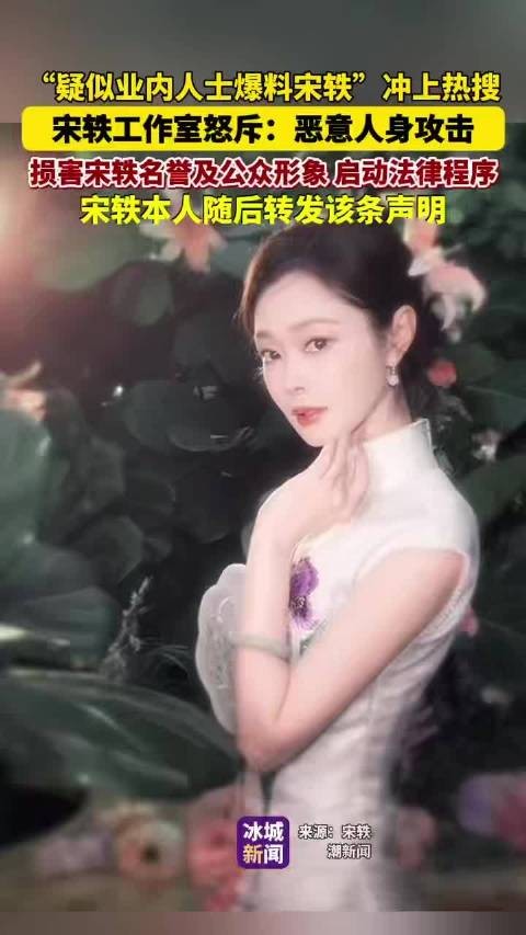 宋轶工作室斥恶意攻击启动法律程序