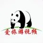 爱喵娱乐视频