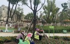 关窗！关窗！关窗！确认了：今晚就到湖北