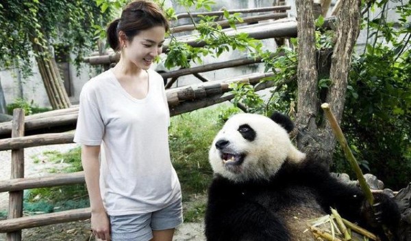 明星见到熊猫是什么体验？胡歌变保姆，宋慧乔娇羞，他一手拎一个