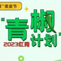 袁冰妍偷逃税，我们为何要对此类事件保持愤怒？