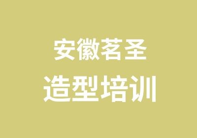 安徽茗圣造型培训