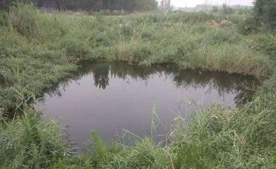 李文星之死跟你无关，什么跟你有关？