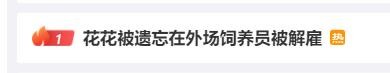 “顶流”都能被忘？确有此事，已被解雇！