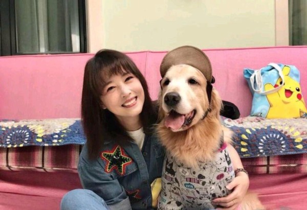 周海媚的宠物狗：无尽的爱与陪伴