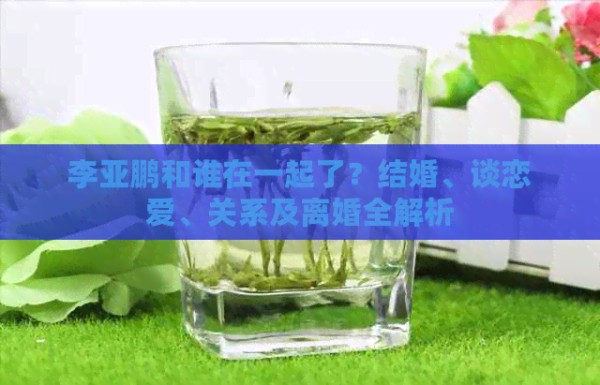 李亚鹏和谁在一起了？结婚、谈恋爱、关系及离婚全解析