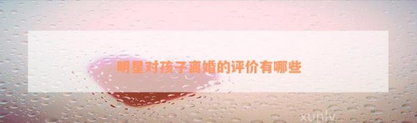 明星对孩子离婚的评价有哪些