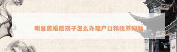 明星离婚后孩子怎么办理户口和抚养疑问