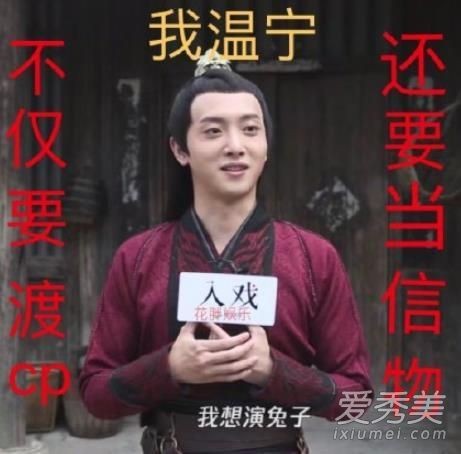 陈情令粉头温宁是什么梗什么意思？为什么说温宁是粉头