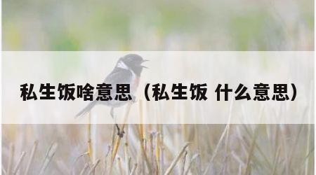 私生饭啥意思（私生饭 什么意思）