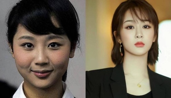 整过容的女明星（整过容的女明星可以拍戏吗）