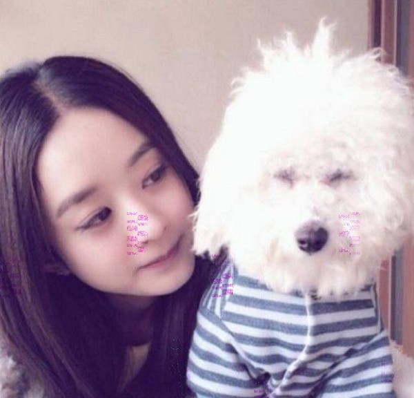 养比熊的都是女神，娱乐圈女星竟这么多比熊控！