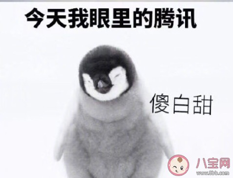 姜还是老干妈的辣是什么梗 姜还是老干妈的辣梗的出处是什么
