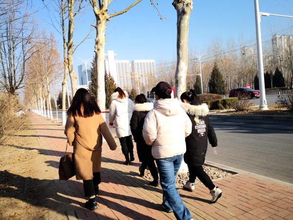 明星也考编？编制为什么这么“香”？