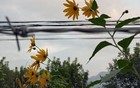 斗争的年代，又回来了