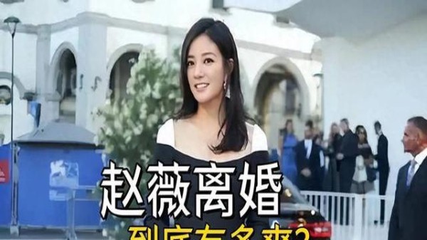 赵薇离婚风波：背后真相令人震惊，财产与孩子抚养费究竟如何分配