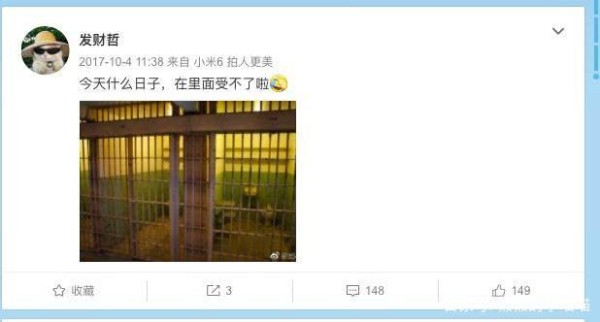 修雨乐是谁个人资料曝光 修雨乐宋喆是什么关系为何被牵扯进宋喆案
