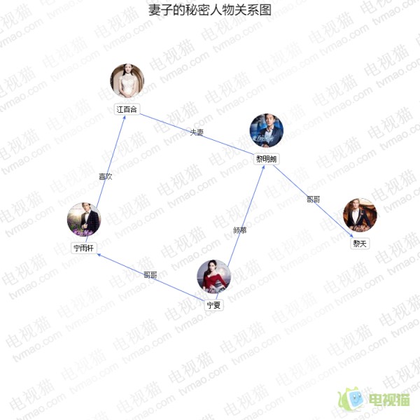 妻子的秘密人物关系图