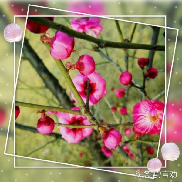 为什么说婆媳关系难相处？怎样相处才能减少矛盾？