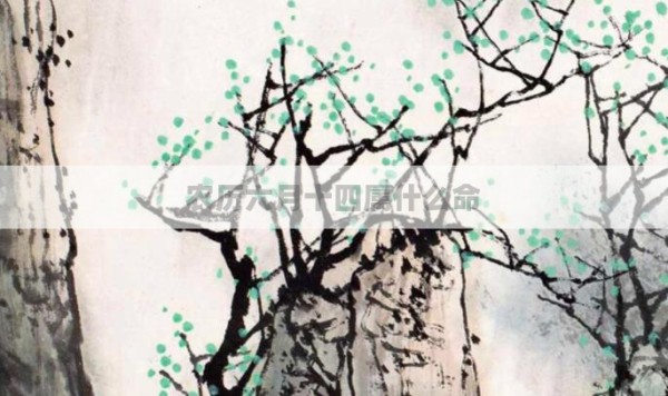 农历六月十四属什么命