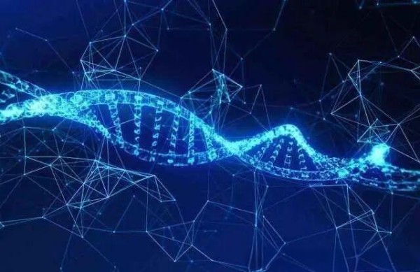 明星与诺奖得主的代言策略对比与应用