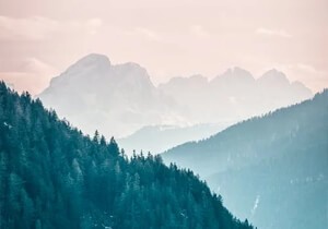 落难公主郑欣宜自暴自弃（母亲去世郑少秋不管她的精神状态还好吗）