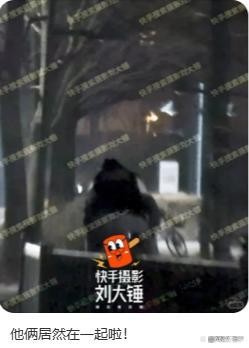 祝福还是劝分：谁在决定明星恋情的审判标准 公众情感价值观取向