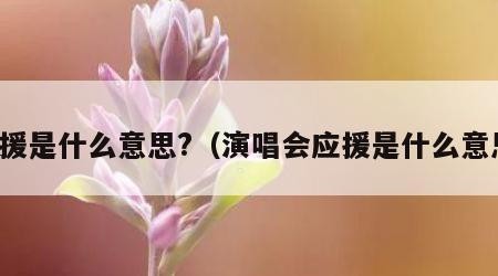 应援是什么意思?（演唱会应援是什么意思）
