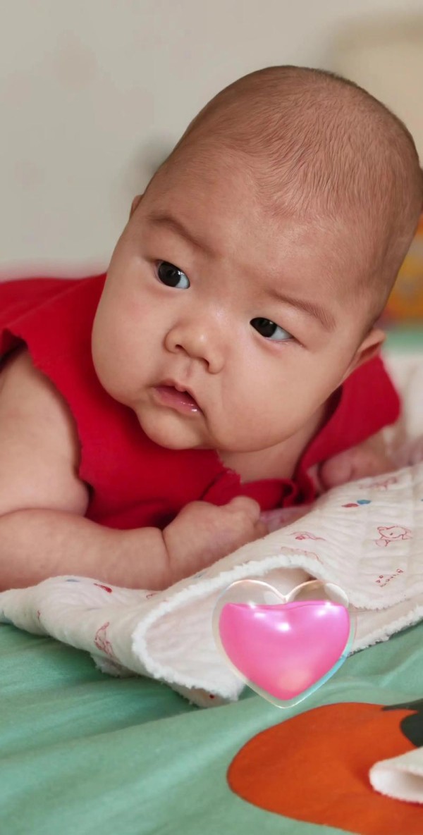 属龙的明星孩子属狗的 母亲属狗孩子属龙怎么办是什么意思？