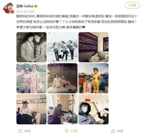歌手刘维为母解散团队暂别娱乐圈(刘维的个人资料简介)