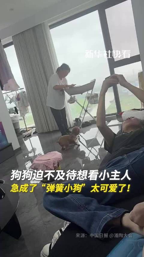 狗狗迫不及待想看小主人，急成了“弹簧小狗”，太可爱了！