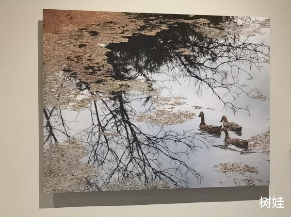 霍震霆前妻在上海办摄影展，黑裙配红鞋气质高雅，77岁丈夫也在场