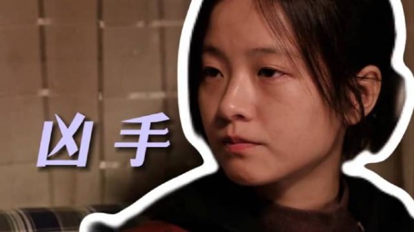 吴细妹竟是凶手，骗保救子一切都是吴细妹设的局～黄轩 李庚希 张哲华
