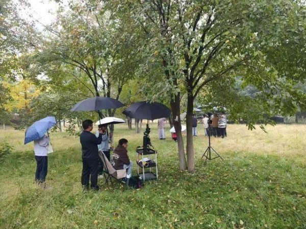新时代中国调研行之文化中华丨“微短剧之都”西安