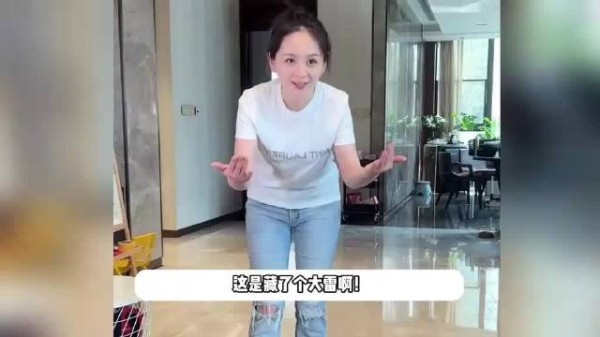 邓莎老公被曝曾行贿千万元,《再见爱人5》开播后辞职,坦言工作不顺利