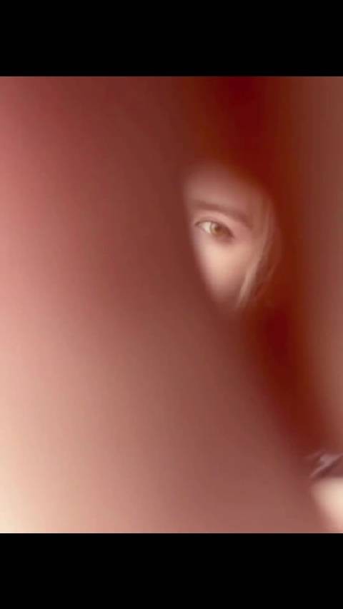 尊嘟很会拍live图吧!